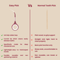 Combo - My1Brush (3 Sided Toothbrush) + Eazypick (Toothpicks)