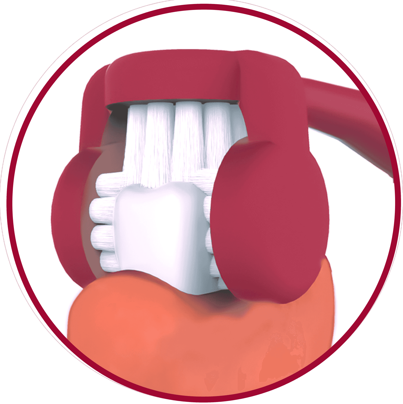 Accessibility & Reach